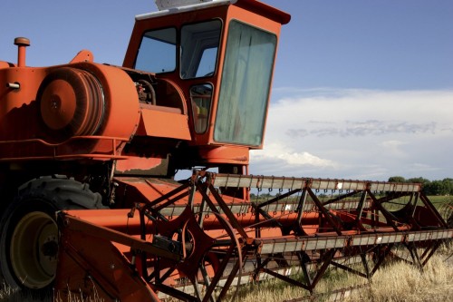 iStock_000000772947Large