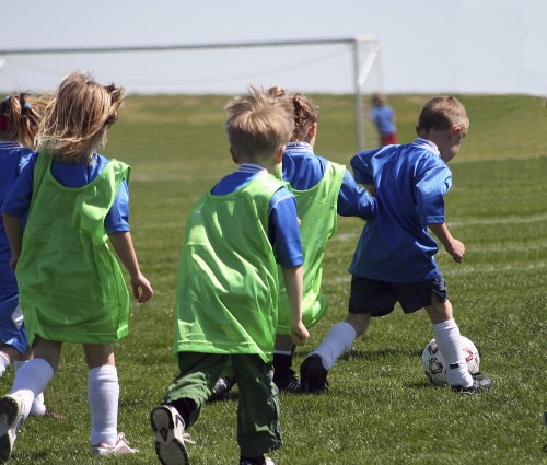 iStock_000002898706Medium