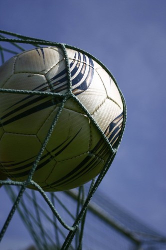 iStock_000003259734Large