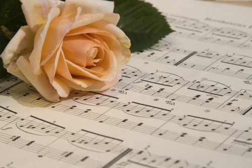 iStock_000003674044Large