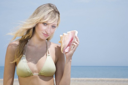 iStock_000008122720Medium