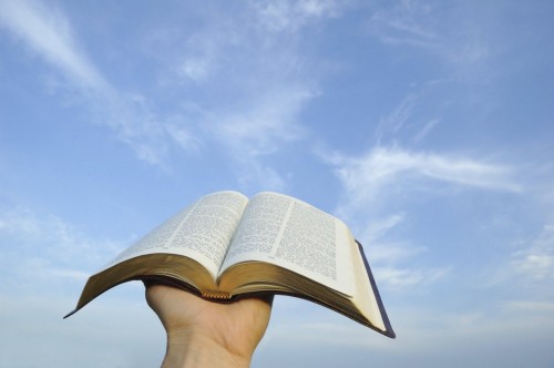 iStock_000010048934Large