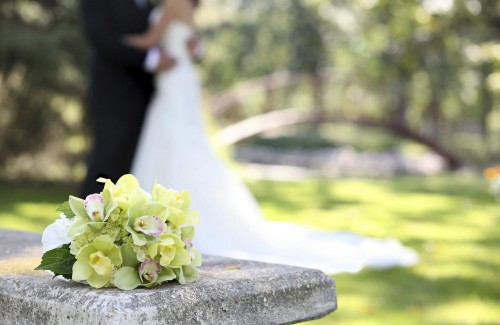 iStock_000010613462XXLarge